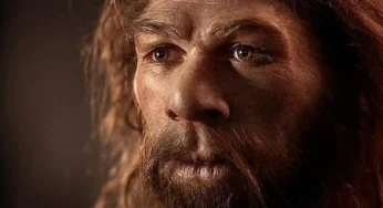 Los neandertales se extinguieron hace 40 000 años pero hoy hay más ADN suyo que nunca