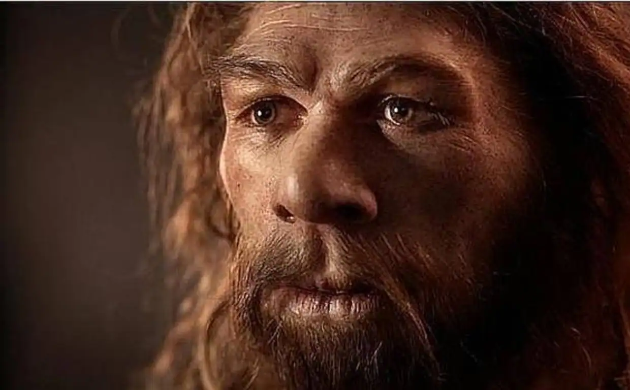 Los neandertales se extinguieron hace 40 000 años pero hoy hay más ADN suyo que nunca