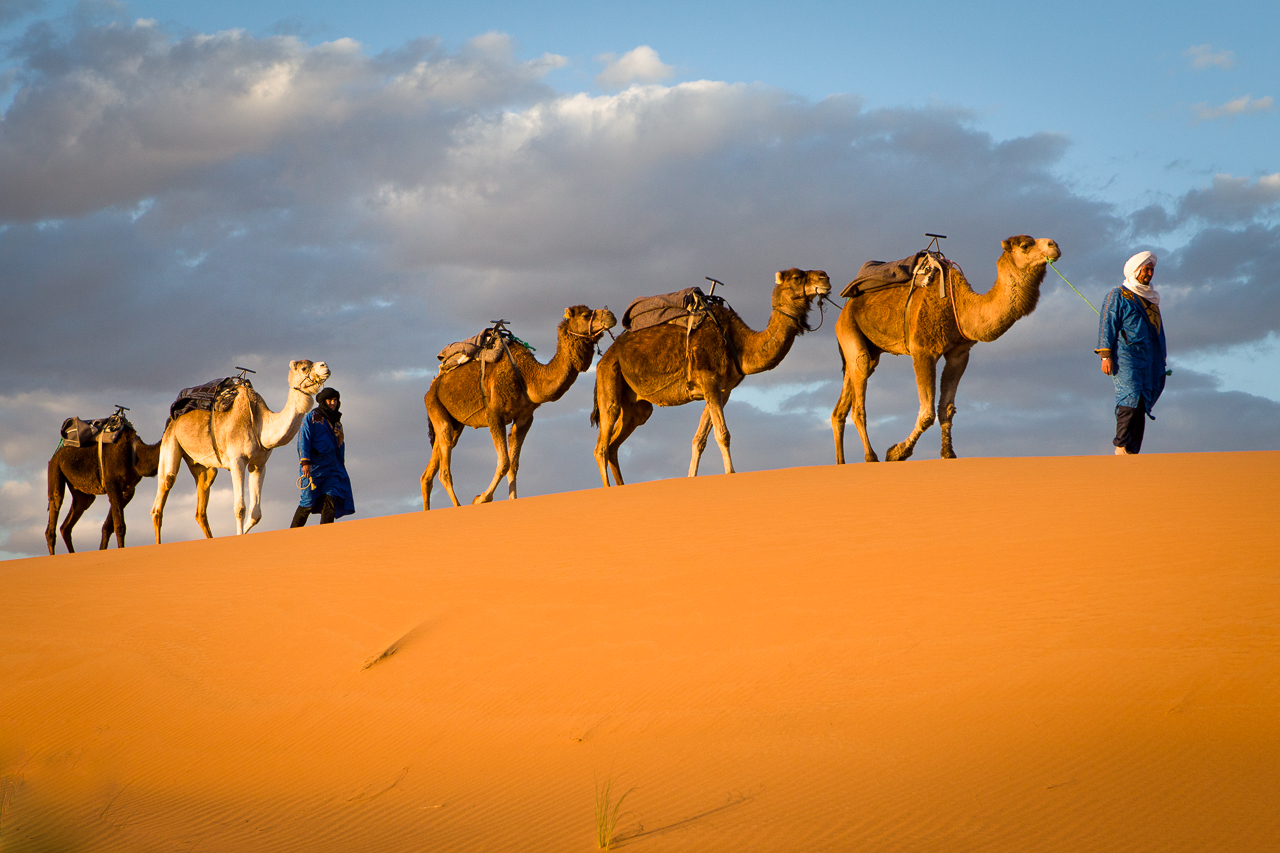 No siempre fue un desierto: el curioso pasado del Sáhara