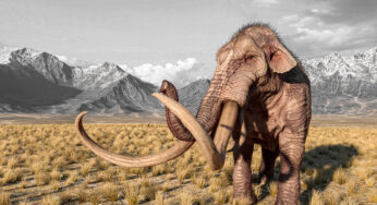 Revivir a los mamuts ya es posible: así avanza la ciencia