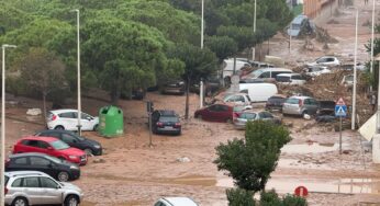 Las catastróficas consecuencias de confundir aviso meteorológico con alerta de riesgo