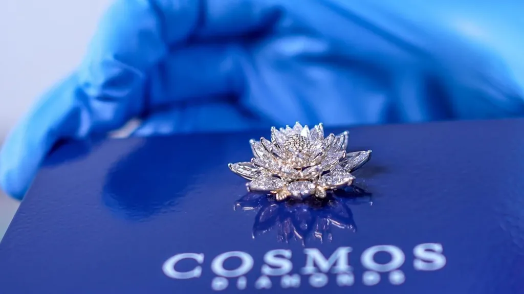 Flor de loto Cosmic Bloom transportada por el Vikram-1