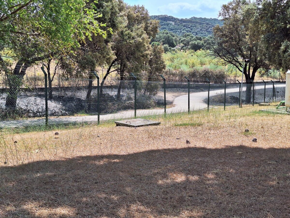Vegetación quemada junto al vallado del complejo de la NASA en Robledo de Chavela tras el incendio